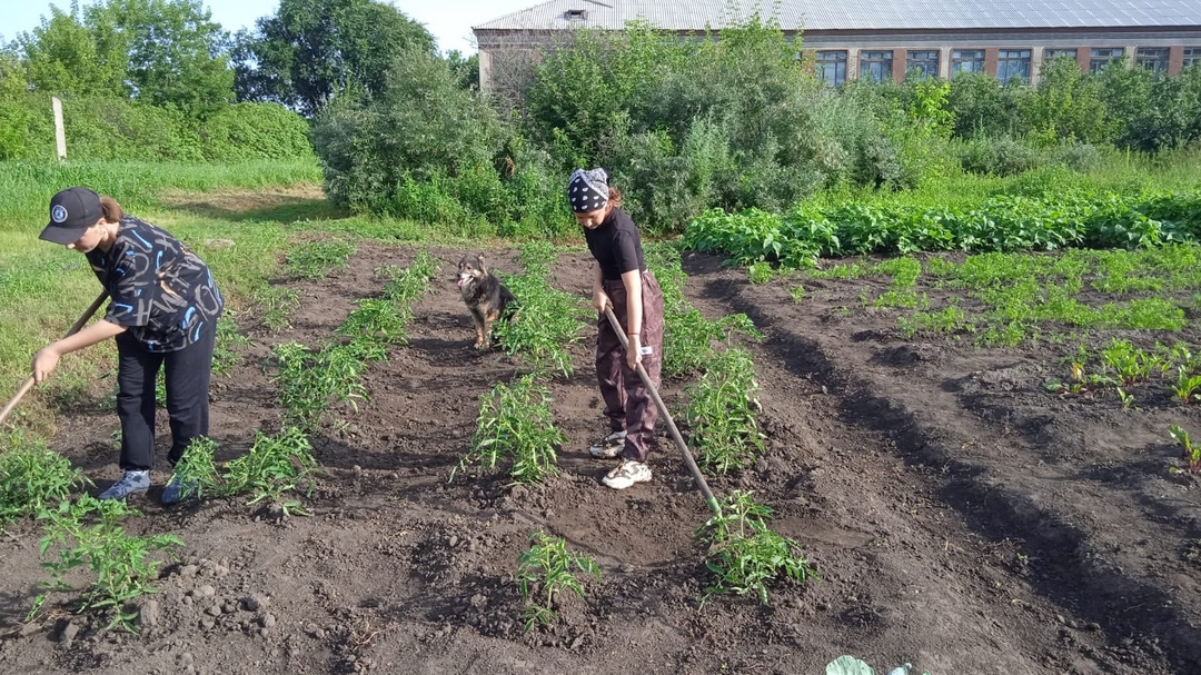 Работа на пришкольном участке.